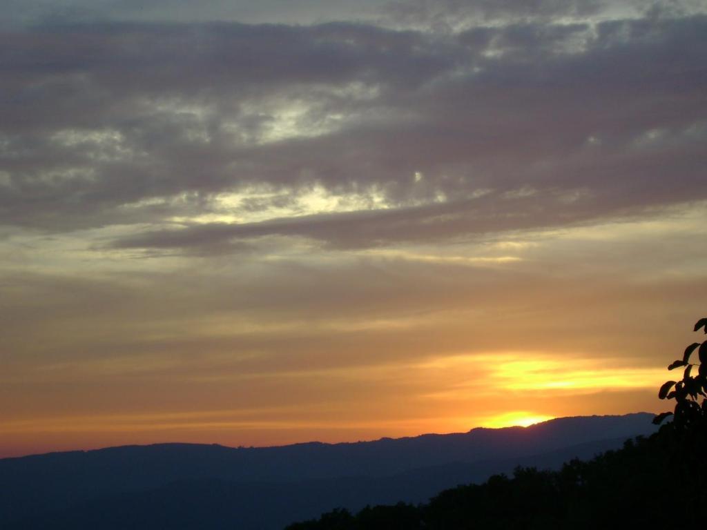 Agriturismo La Corte Pistoia Dış mekan fotoğraf