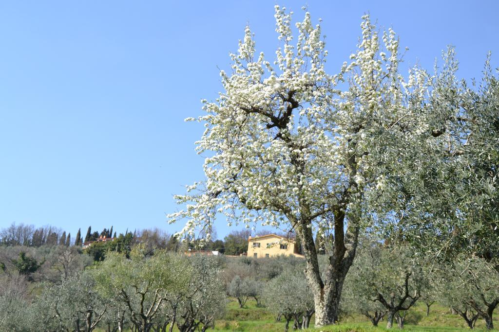 Agriturismo La Corte Pistoia Dış mekan fotoğraf